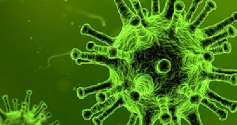 Antrag an die Landessanitätsdirektion