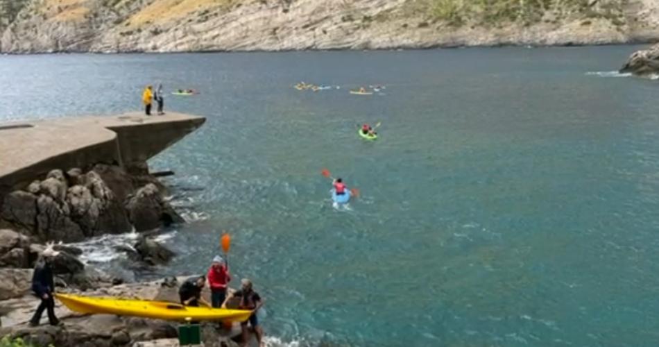 Meeresbiologische Woche